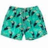 Boys' Toucan Talk Volley Swim Trunk (Toddler, Little Kid, Big Kid) -TYR Sales 6747579351208 blue 1a