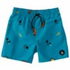 Volcom Boys' Cheesy Street EW Swim Trunk -TYR Sales 6788960616616 barrierreef 1a