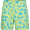 Men's Board Shorts 1 Men's Board Shorts -TYR Sales 6975973589160 original 1a