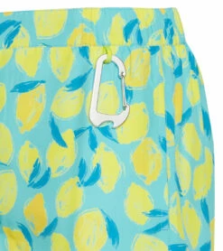 Men's Board Shorts -TYR Sales 6975973589160 original 4a