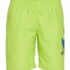 Nike Boys' Octologo 15" Volley Short (Little Kid) -TYR Sales 7187161514152 atomicgreen 1a