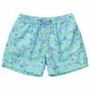 Boys' Minty Shark Volley Board Short (Toddler, Little Kid, Big Kid) -TYR Sales 7217018634408 mint 1a