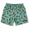 Men's 17" The Pineapples Printed Swim Trunks -TYR Sales 7382155002024 blue 1a