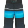 Rip Curl Boys' Mirage Daybreakers Board Shorts (Big Kid) 2 Rip Curl Boys' Mirage Daybreakers Board Shorts (Big Kid) -TYR Sales 7422458790056 black 1a
