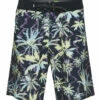 Quiksilver Men's 19" Highlite Arch Board Shorts