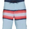 Quiksilver Men's 19" Surfsilk Resin Board Shorts -TYR Sales 7435060412584 bluegrey 1a