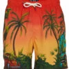 Men's 17" Resorto Printed Swim Trunks