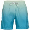 Men's Mint Sano Swim Trunks