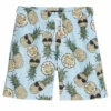 Boys' Pineapple Sunglasses 2-Pack Swim Trunks (Big Kid)