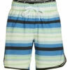 Men's Blue Stripe Swim Trunks -TYR Sales 7492619174056 blue 1a