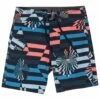 Volcom Boys' Mod Stone Stripe Boardshorts (Toddler, Little Kid)