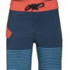 Volcom Boys' Mod Quarta Static Boardshorts (Toddler, Little Kid) 1 Volcom Boys' Mod Quarta Static Boardshorts (Toddler, Little Kid) -TYR Sales 7507603128488 navy 1a