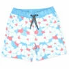 Boys' Swim Trunks (Baby)