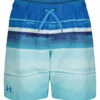 Under Armour Boys' UA On The Horizon Volley Shorts (Little Kid) -TYR Sales 7647419170984 bluecircuit 1a