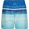 Under Armour Boys' UA On The Horizon Volley Shorts (Little Kid, Big Kid)