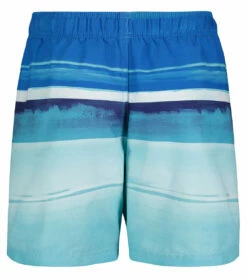 Under Armour Boys' UA On The Horizon Volley Shorts (Little Kid, Big Kid) 7 Under Armour Boys' UA On The Horizon Volley Shorts (Little Kid, Big Kid) -TYR Sales 7647419433128 bluecircuit 3a