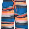 Under Armour Boys' UA Serenity Stripe Volley Shorts (Little Kid) 2 Under Armour Boys' UA Serenity Stripe Volley Shorts (Little Kid) -TYR Sales 7647420383400 bluecircuit 1a