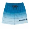 Boy's Ombre Stripe Swim Trunks