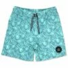 Boys' Peaks Board Shorts (Baby) -TYR Sales 7717053825192 beachglass 1a