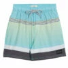 Rip Curl Boys' Party Pack Swim Trunks (Big Kid)